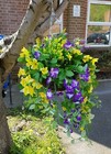 Bild 2 von 12