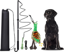 Flirt Pole Dogs, Dog Chase Toy with Squeakers Inside, Dog Fishing Pole Toy for L