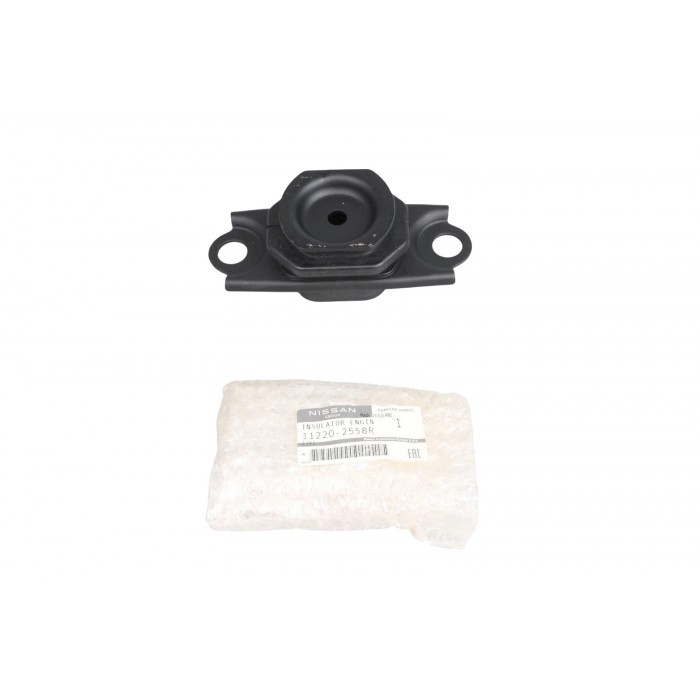 Support moteur gauche pour Renault Grand Scénic IV et Kadjar