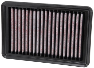 Air Filter-Natural AEM 28-20480