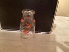Vintage Idlenot Farm Dairy Half Pint Store Glass Milk Bottle, Nice Paint