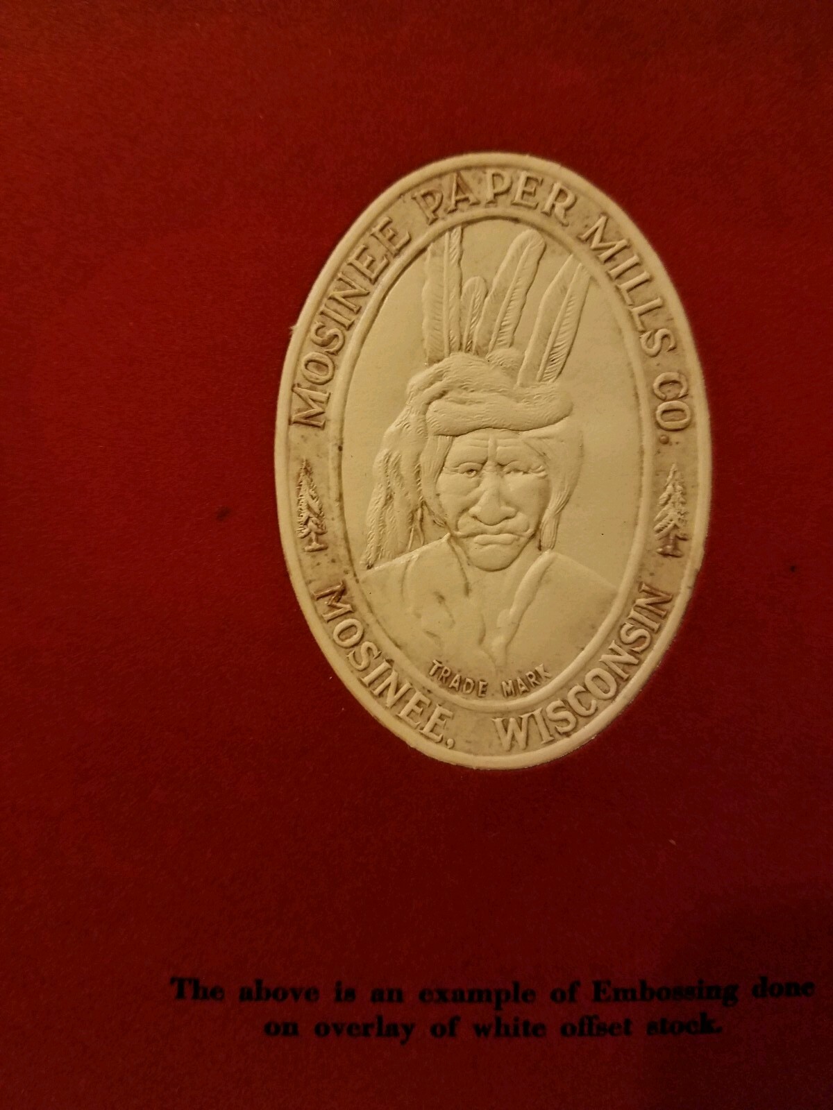 Picture 10 of 12