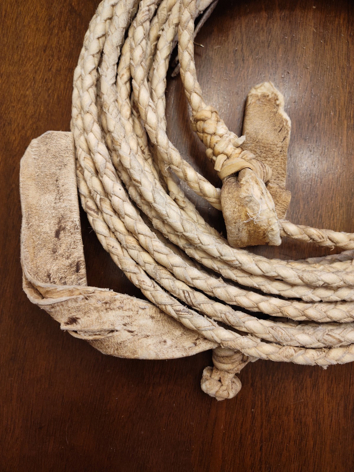 Traditional Rawhide 4 Plait Riata, Rope Unused approx 35 ft. 