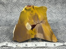 Mookiate Jasper Slab, Lot# 509