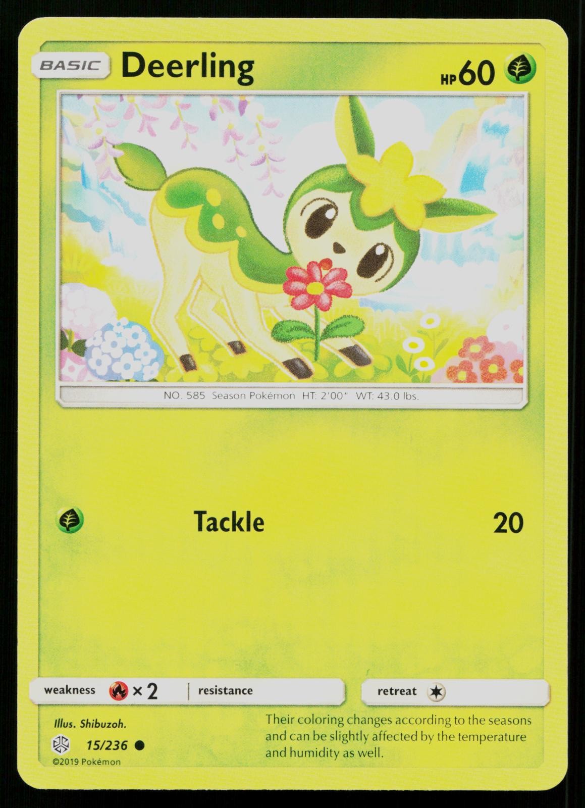 DEERLING 15/236 COMMON COSMIC ECLIPSE POKEMON NM