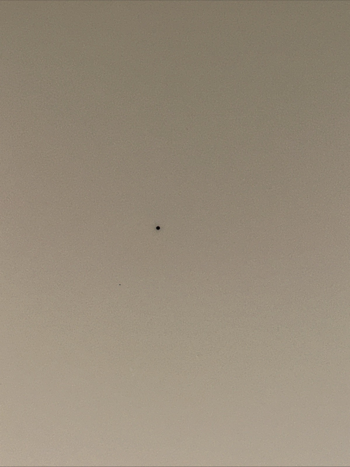 Picture 5 of 14