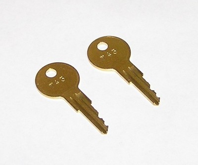 2 - T43 Replacement Keys fit Traulsen Refrigeration Equipment
