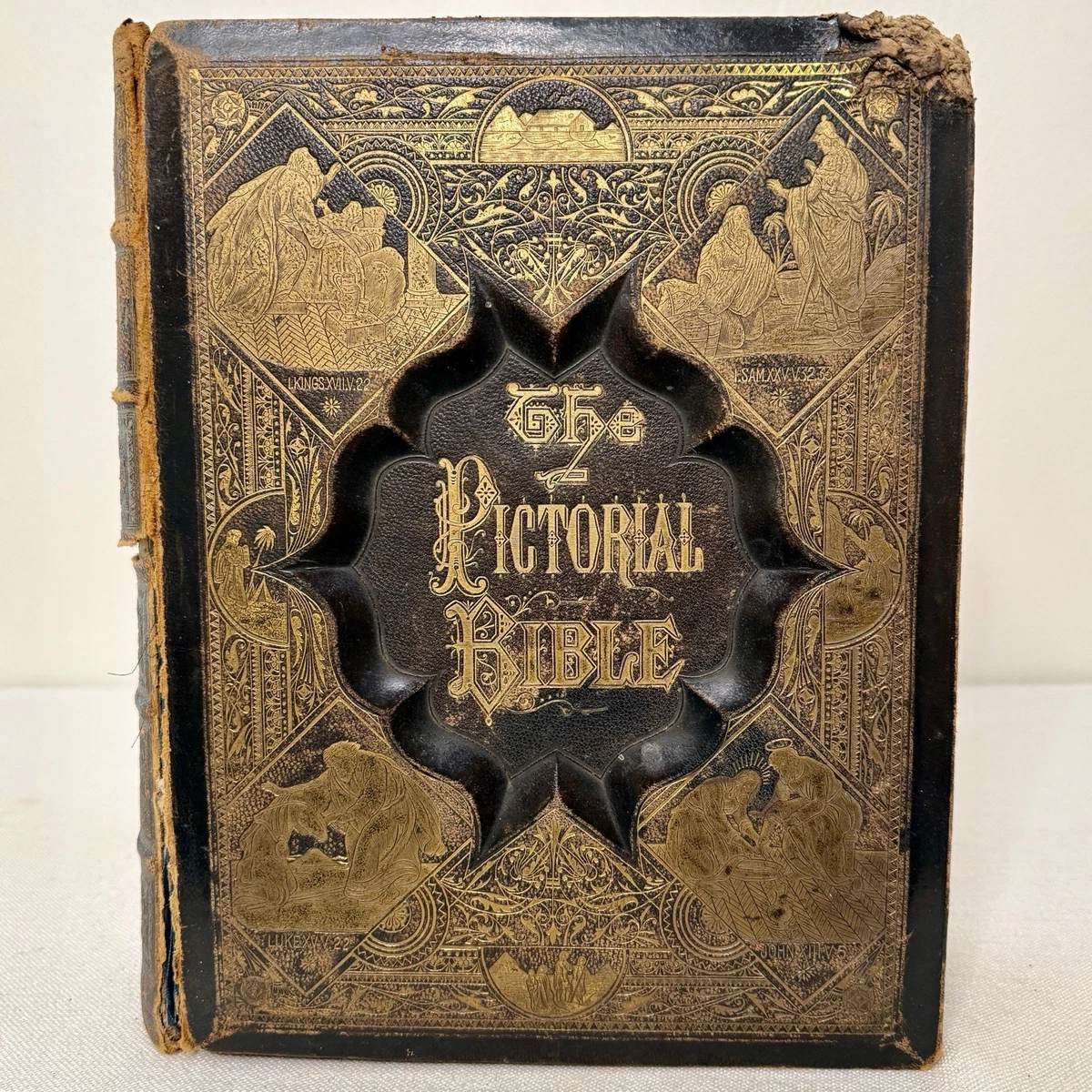 Preços baixos em Cristianismo, Bíblias North American 1850-1899