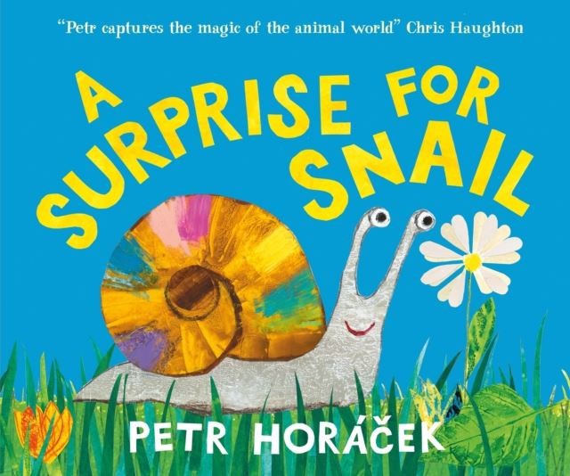A Surprise for Snail by Petr Horacek Hardback