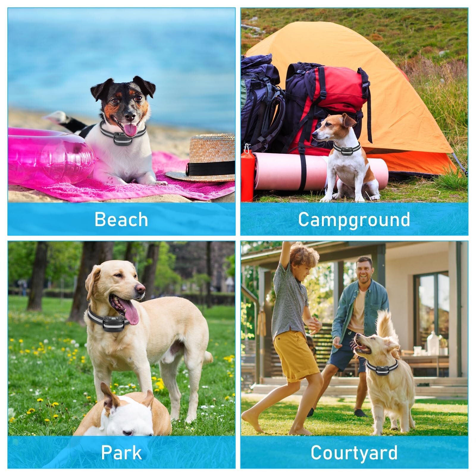 2 in 1 GPS Wireless Dog Fence with Remote Training, Radius from 33 Yards to 1...