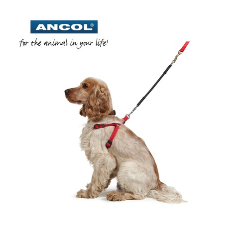 Ancol Bungee Shock Absorber Dog Puppy Lead Extension Single Double