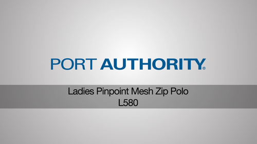 Port Authority Ladies Pinpoint Mesh Zip Polo L580 - Video 1 of 1