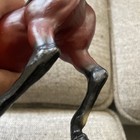 Picture 8 of 10