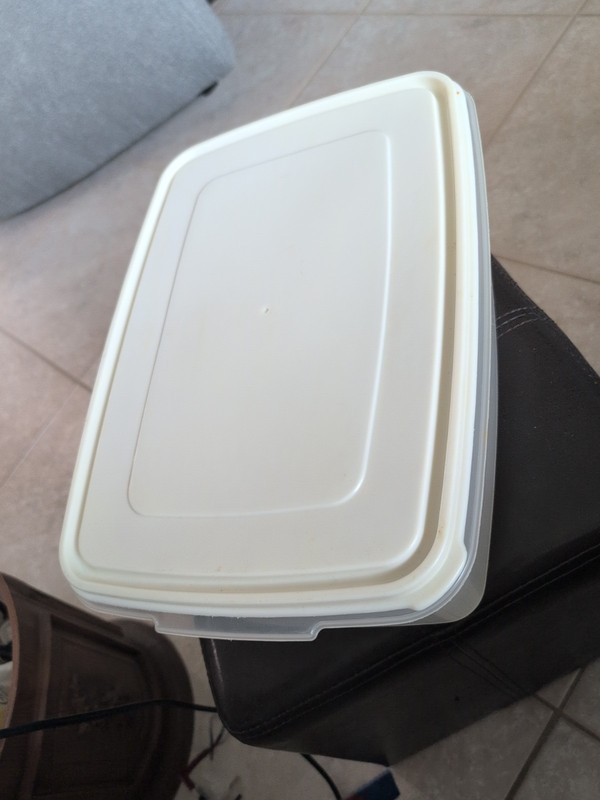 Vintage Rubbermaid Servin Saver #8 Rectangle 33 Cup Sheer Almond Lid Jumbo Large