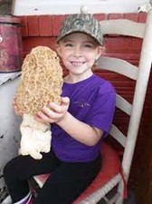Morel Mushroom Spores in Sawdust Bag Garden Grow Kit Makes 5 gal FREE SHIPPING
