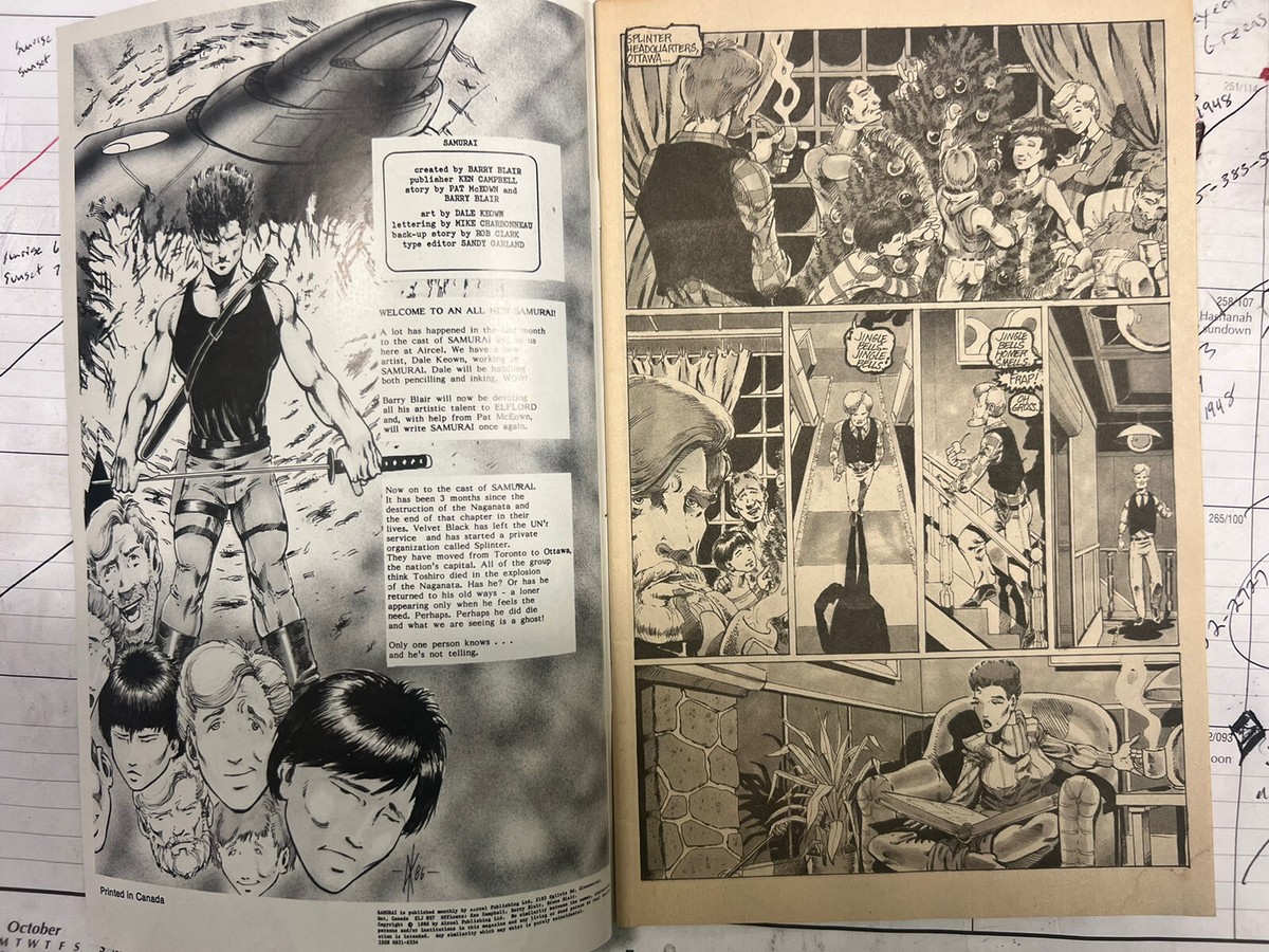 Samurai #13 comic book First published artwork by Dale Keown