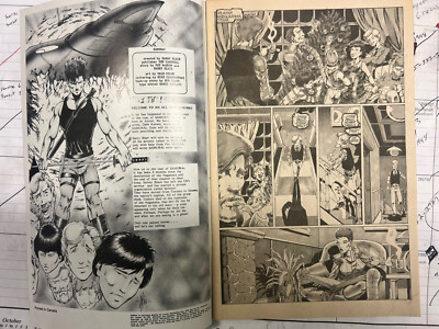 Samurai #13 comic book First published artwork by Dale Keown