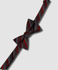  30 Alfani Men's Gray Red Striped Pattern Pre-Tied Adjustable Bowtie