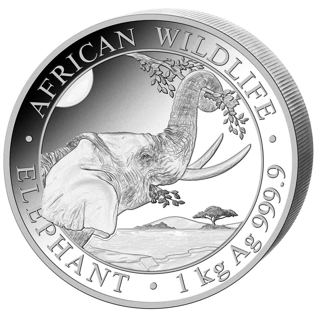 Silbermünze 1kg Elefant African Wildlife 2023 - Somalia - Anlagemünze - ST