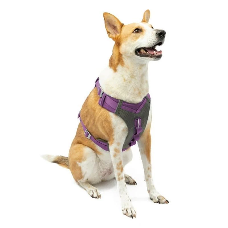 Dog Harness No Pull Reflective Padded Vest Hiking Running Control Handle New Dog Harness No Pull Reflective Padded Vest Hiking Running Control Handle New