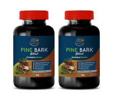 immune support adults - PINE BARK EXTRACT - antioxidant formula 2BOTTLE