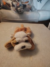 Ty Beanie Baby WRINKLES the Bull Dog 8 Inch NEW MWMTs Plush Stuffed Animal Toy