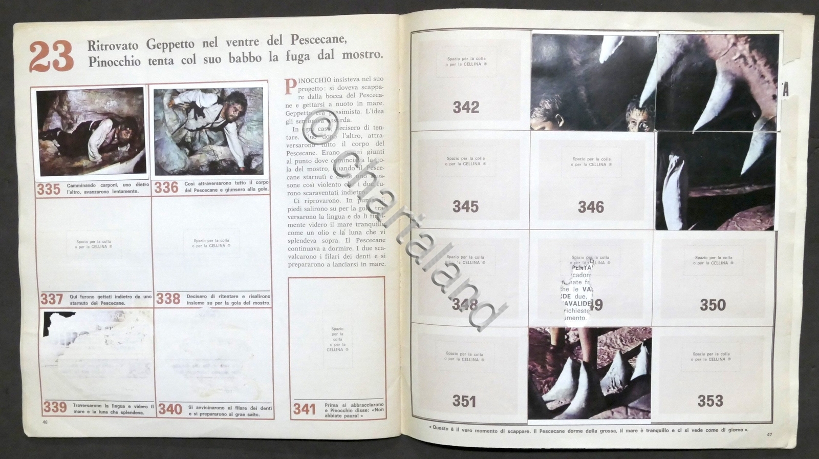 Bild 6 von 6