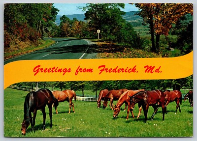 Postcard Maryland Frederick Greetings Horses Multi-view 37L