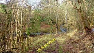 Foto 6x4 Bachlauf und Fischteich Holz Decke Die Dinge werden so viel klarer in c2015