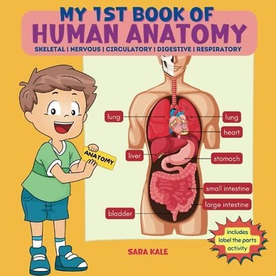 My 1st Book of Human Anatomy: Discovering the Human Body Systems, Parts, and Org