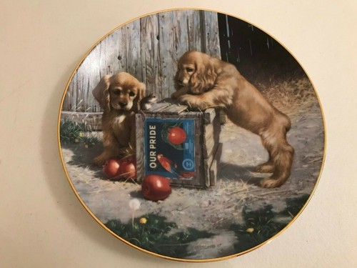 DOUBLE TAKE PUPPY PLAYTIME JIM LAMB COA COLLECTOR PLATE IN BOX - Picture 2 of 4