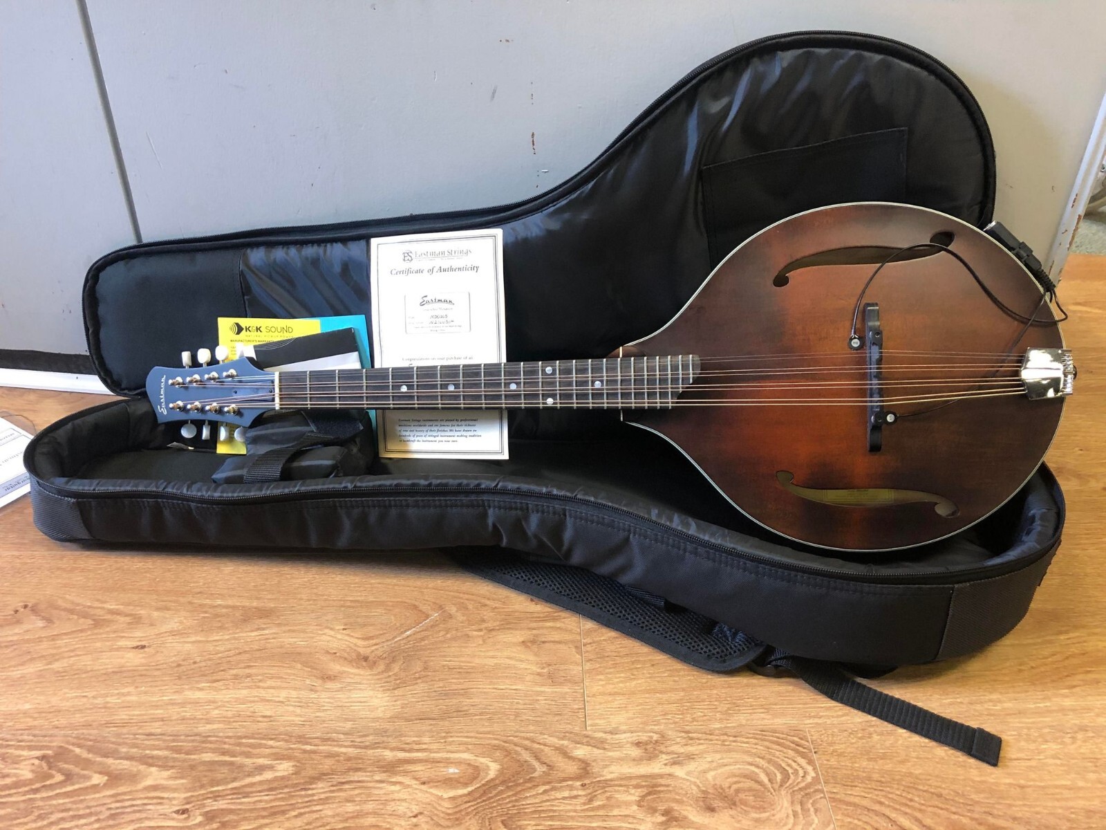 best acoustic electric mandolin
