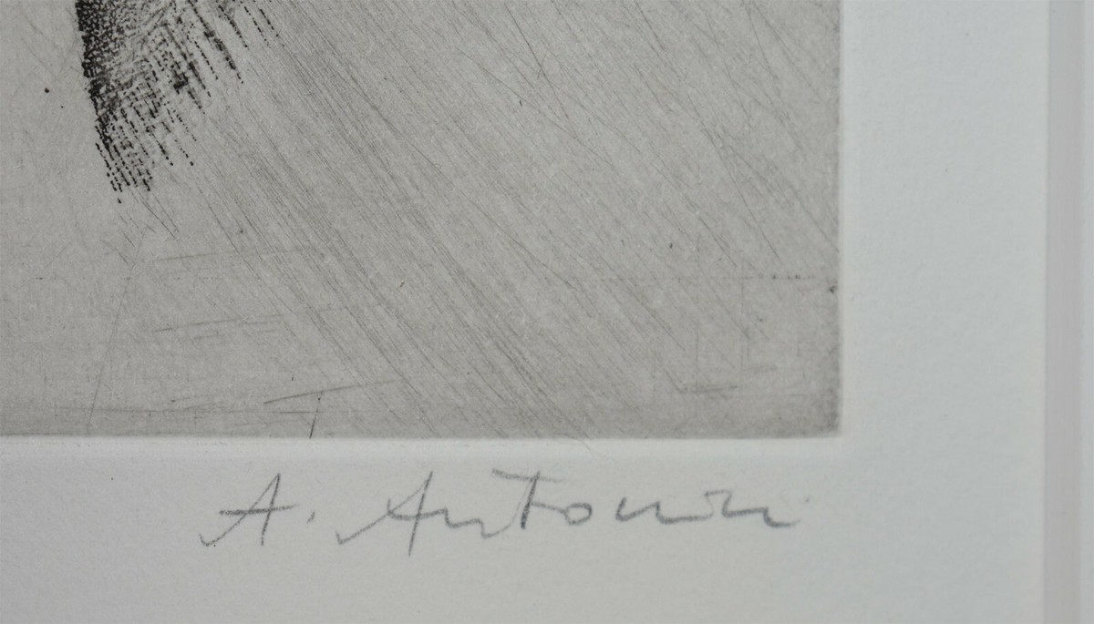 Anapia Antonini  花の市場　サインあり Listed Artist Annapia Antonini Original Signed Colors