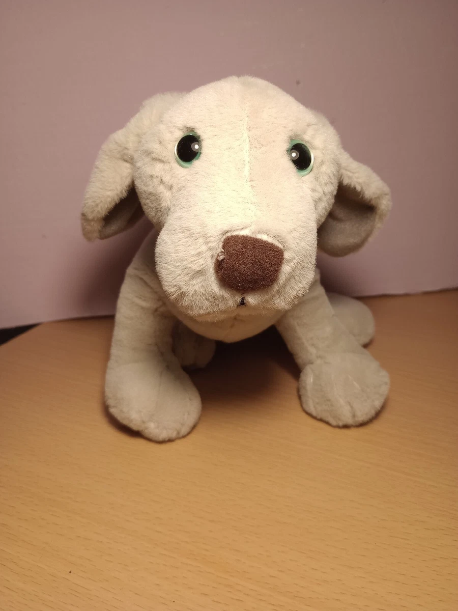 Webkinz weimaraner cheap
