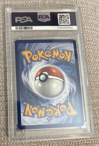 2025 Pokémon JTG EN - Journey Together Illustration Rare 165/159 Swinub PSA 10 - Bild 2 von 2