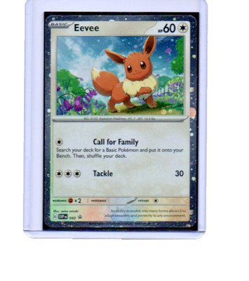 Pokémon Eevee SVP 43 Black Star Promo Holo Mint #043 with Holo FART SWIRL HD NM