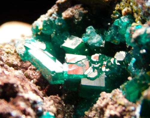 RARE! Deep GREEN DIOPTASE Crystal Cluster 100% Natural Tsumeb, Nambia 114gr