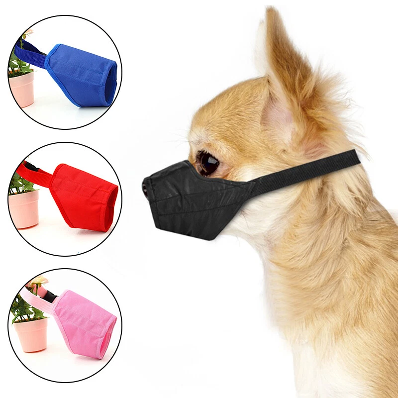Dog hot sale muzzle diy