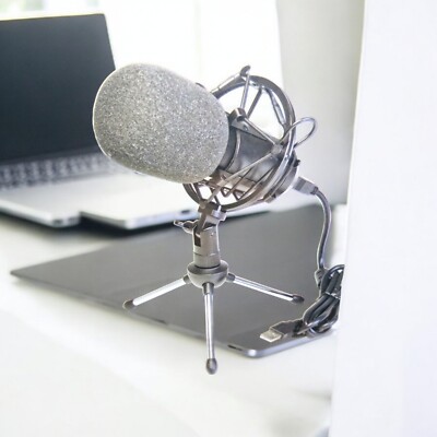 Bontempi Professional USB cardioid condenser microphone