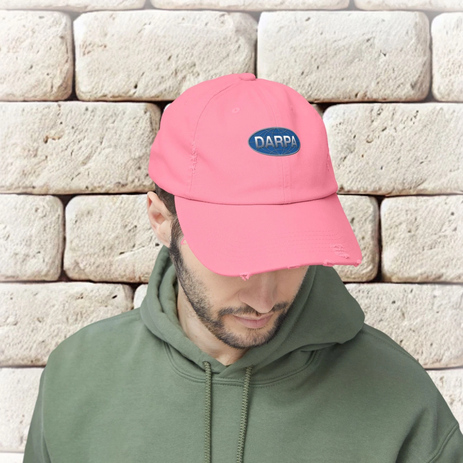 DARPA Emblem Unisex Distressed Cap
