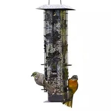 Squirrel-Be-Gone Squirrel-Resistant Metal Durable Wild Bird Feeder - 2 lb. Capac