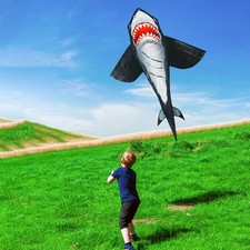 Kite For Kids And Adults Outdoor Flying Kite With 30M Line For Beach WSUK