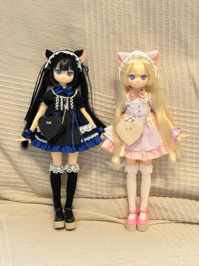 Colorful Dreamin’ & Mebae Set Azondirect Limited Black Cat Version Used