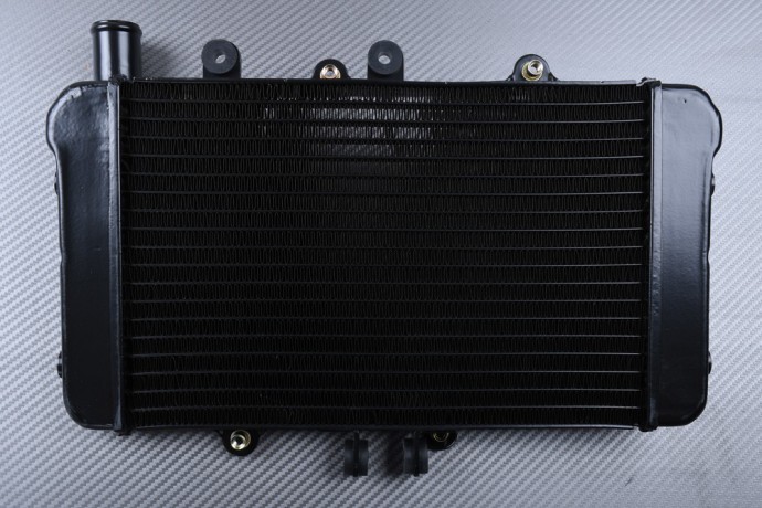 Radiateur eau alu haute performance pour refroidissement Honda NTV600 1989