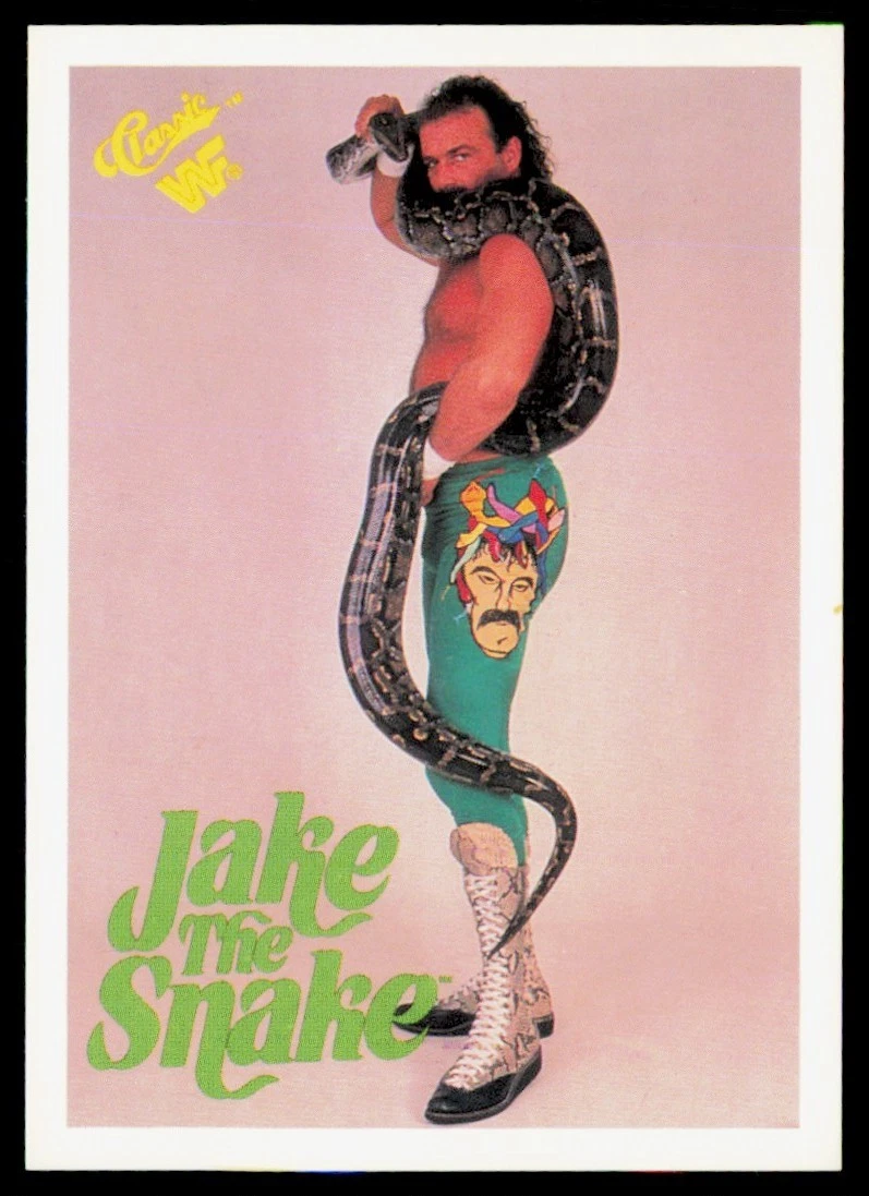 1990 Classic WWF - Jake 