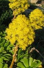 Bild 6 von 6