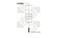 BGA V163881 Auslassventil FüR Alfa Romeo Passend FüR Fiat Lancia Opel Peugeot