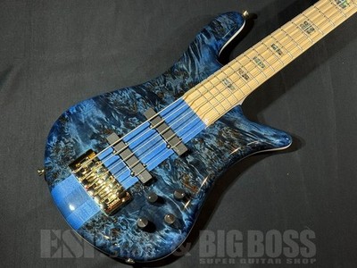 Spector Euro Cst Japan Exclusive Series Euro 5 Cst Bk bl W/WH Back Gloss New