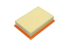 Filtre à air Mazda 818