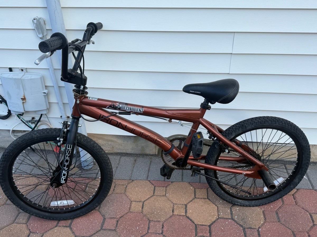 Iron Horse Bike (Kids) Brown